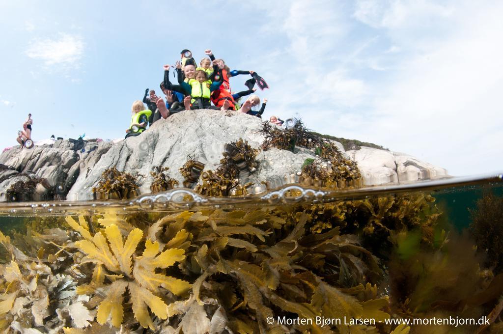 Gulen Dive Resort Dalsøyra Dış mekan fotoğraf
